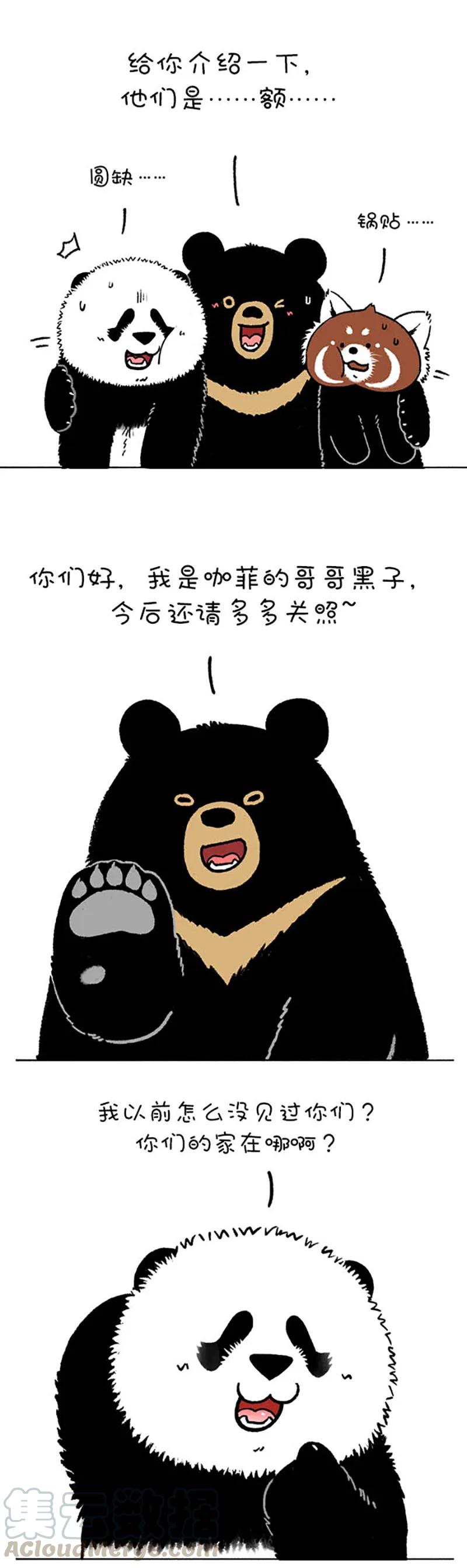 快把动物放进冰箱~漫画,220 熊挪活，树挪死4图