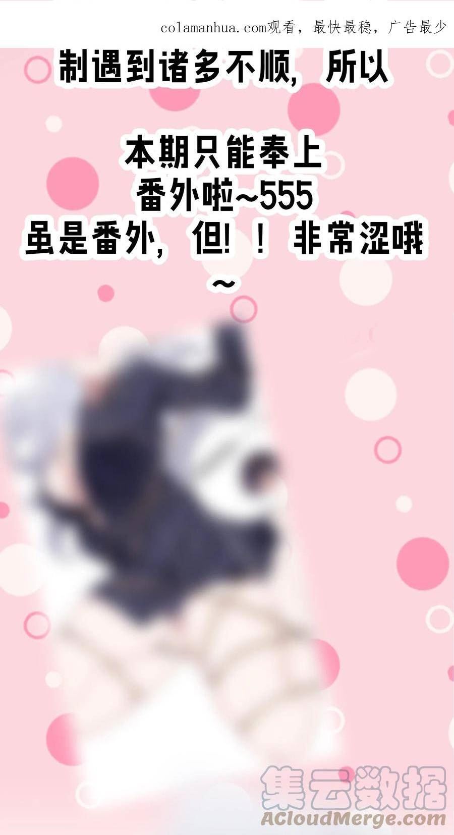 公告 番外公告1