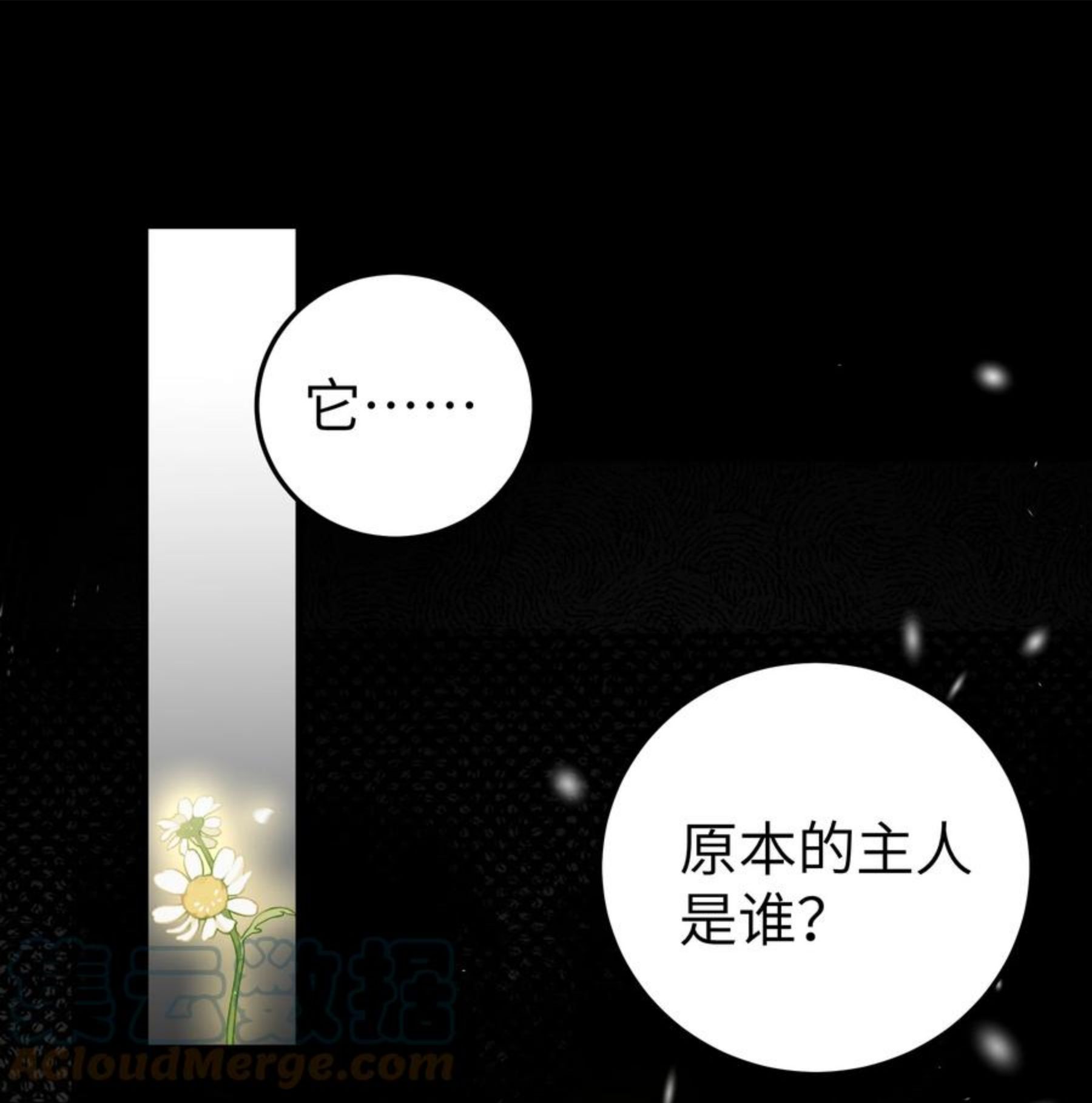 025 与白毛狐狸的初次相遇3