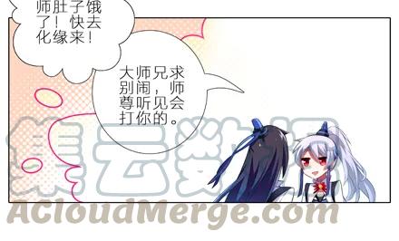 我家大师兄脑子有坑小说漫画,第3坑 二师兄的证词5图