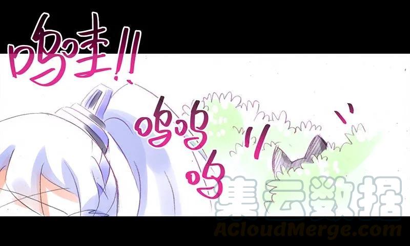 我家大师兄脑子有坑第三季第一集漫画,番外：忽然养只猫35图