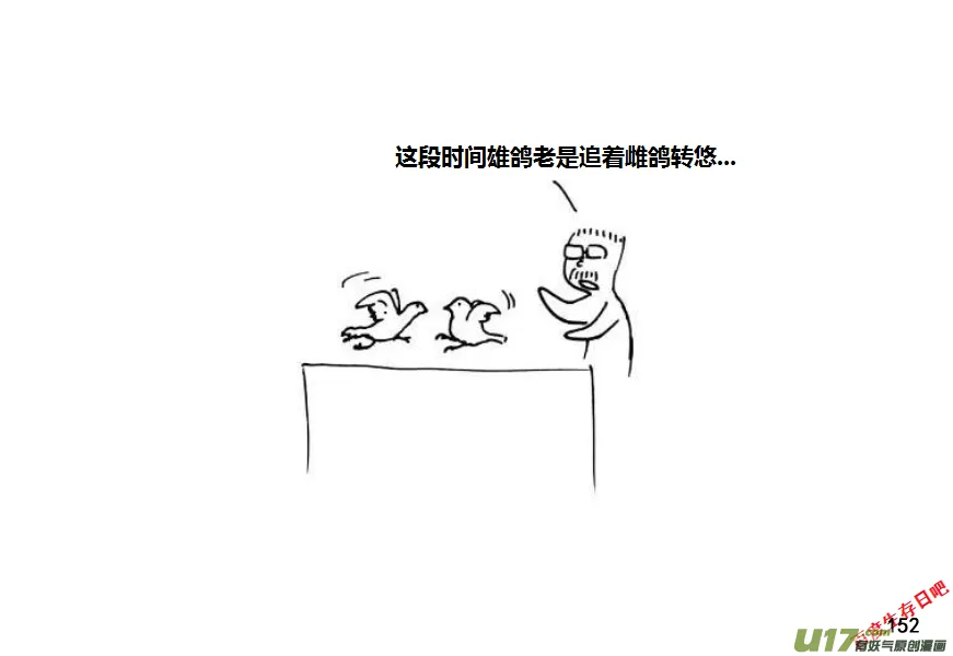 第九季—6【鸽子蛋】3