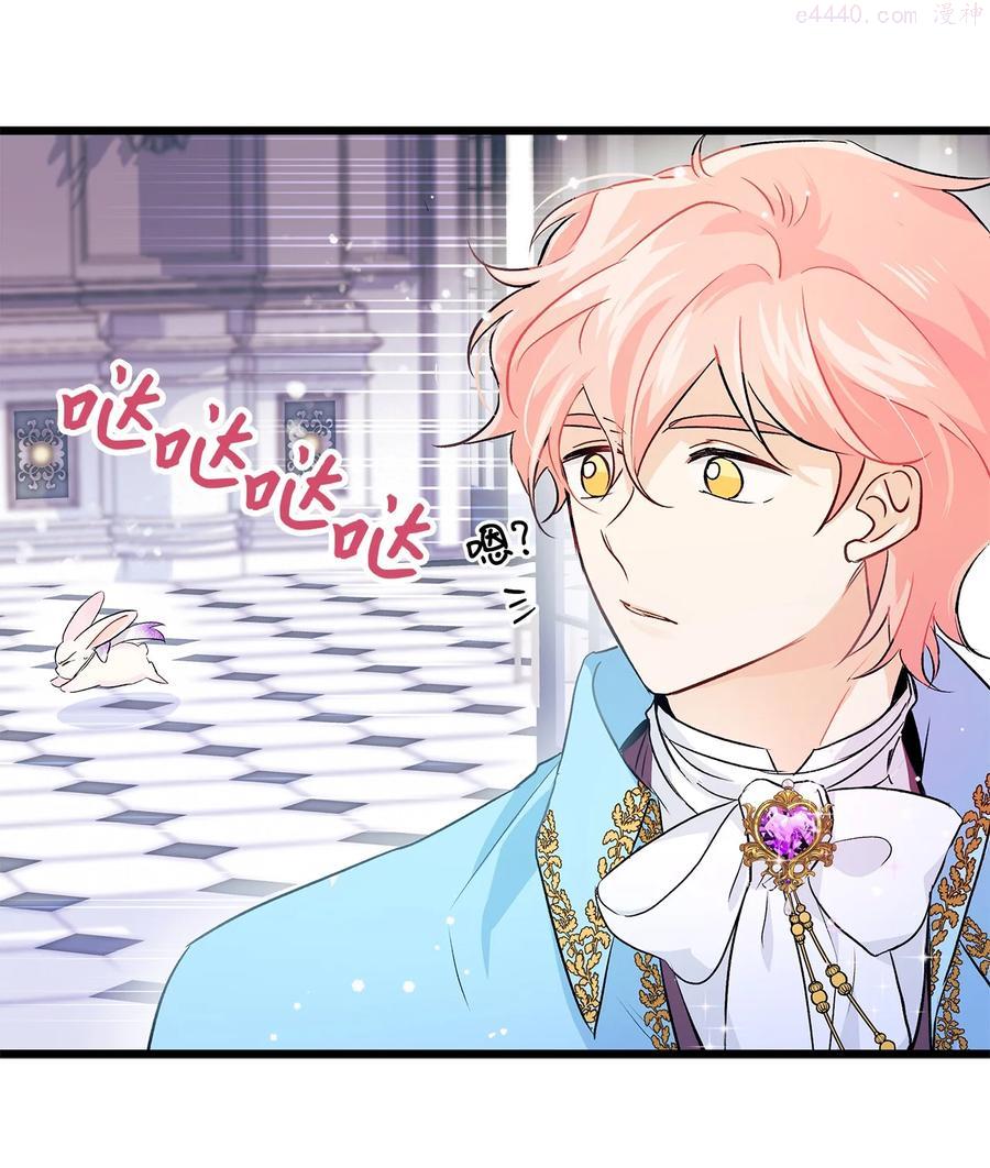 兔子与黑豹的共生关系1至100集漫画,20 西湖醋豹5图