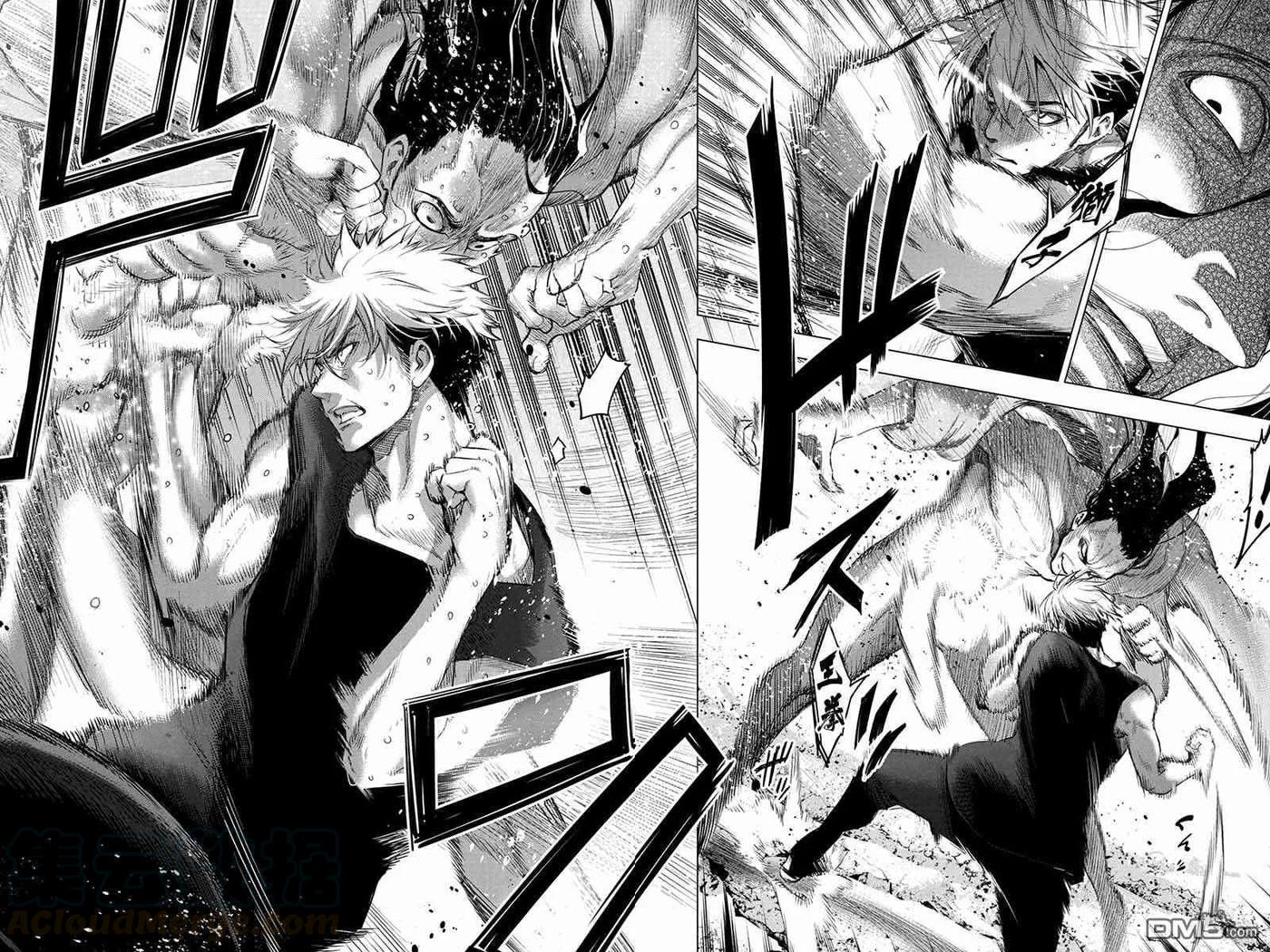 隐语岛官网漫画,第53话 刀剑乱舞（2）5图