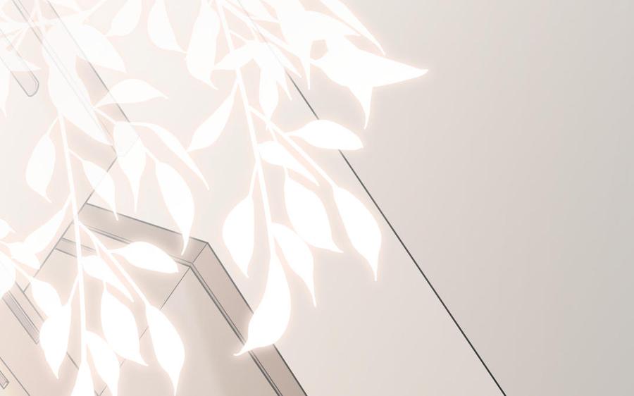 第66话 来迟一步1