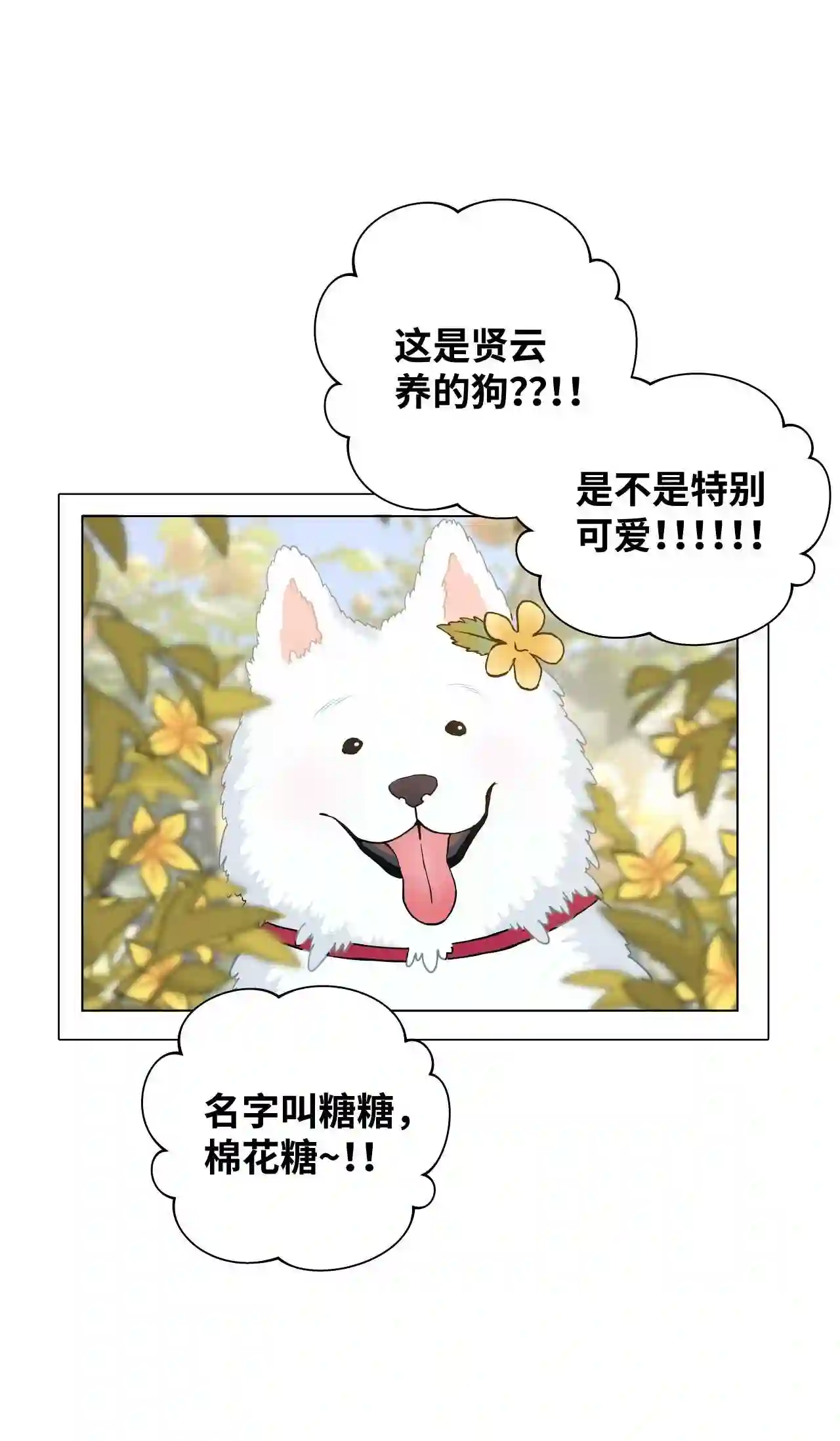 云端之恋壁纸高清漫画,05 我知道你是故意的5图