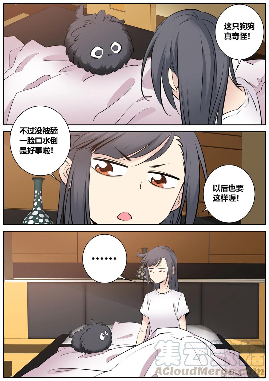 秦侠漫画,353.蠢狗狗3图