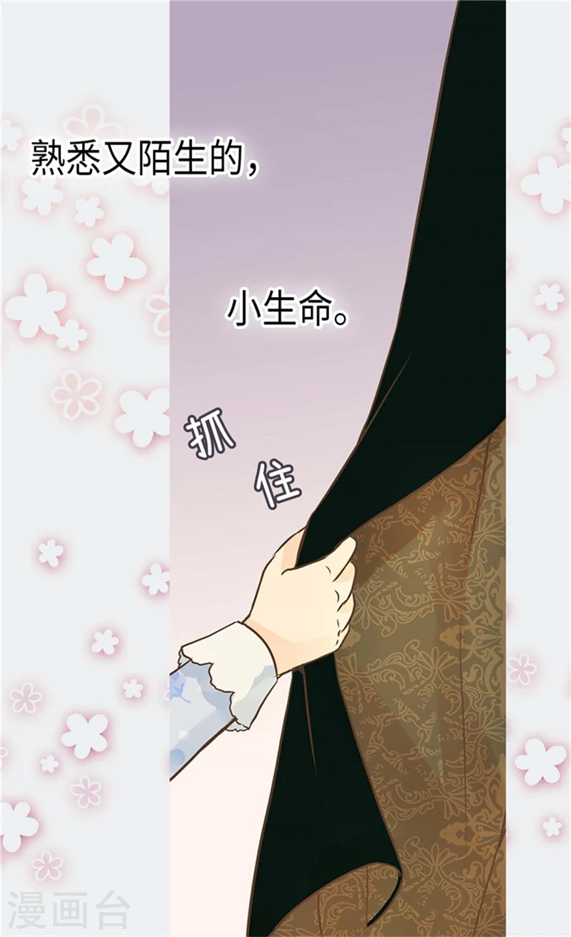 皇帝的独生女漫画全集免费阅读漫画,第175话 有女儿其实也不错5图