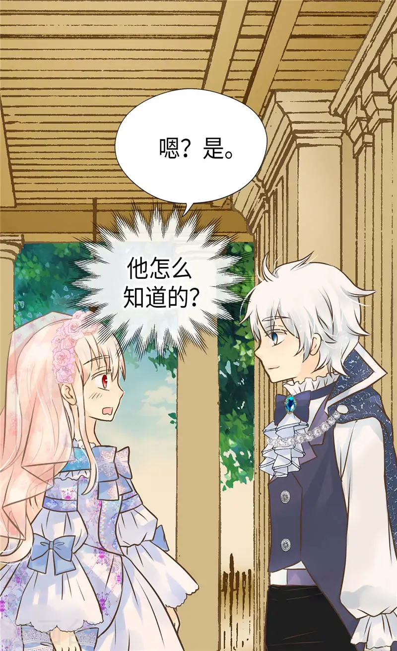 第249话 避开雷区的重要性1