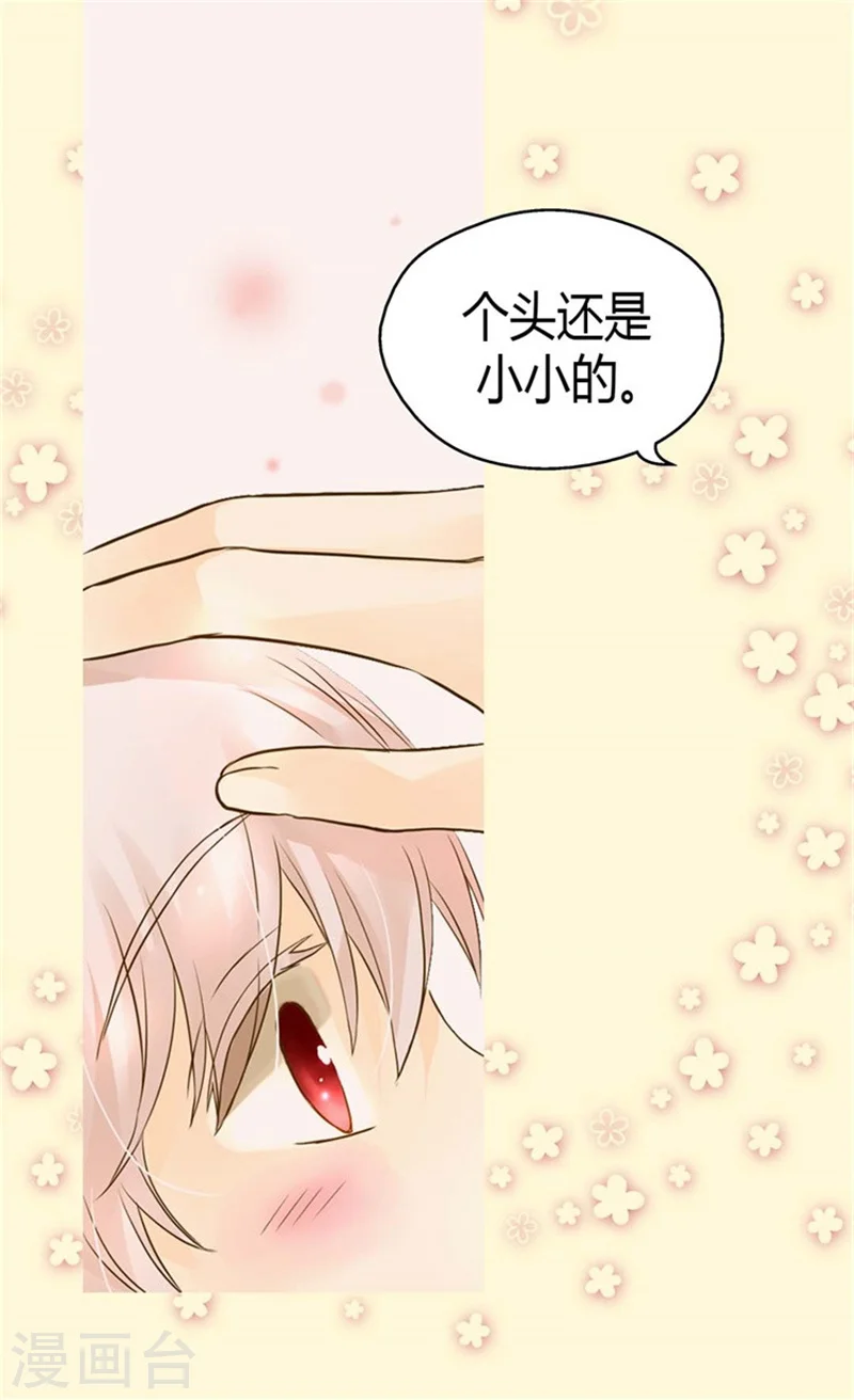 皇帝的独生女儿漫画全集漫画,第95话 再次遇到阿西西2图