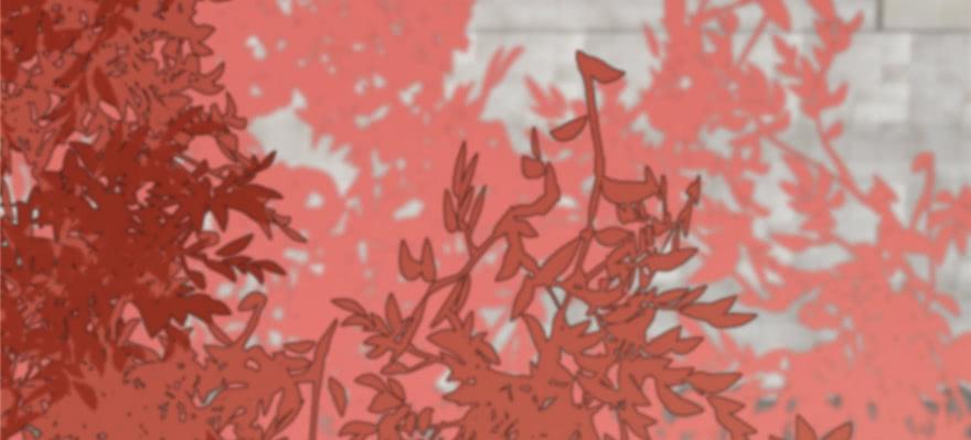 小兽妃漫画,873图