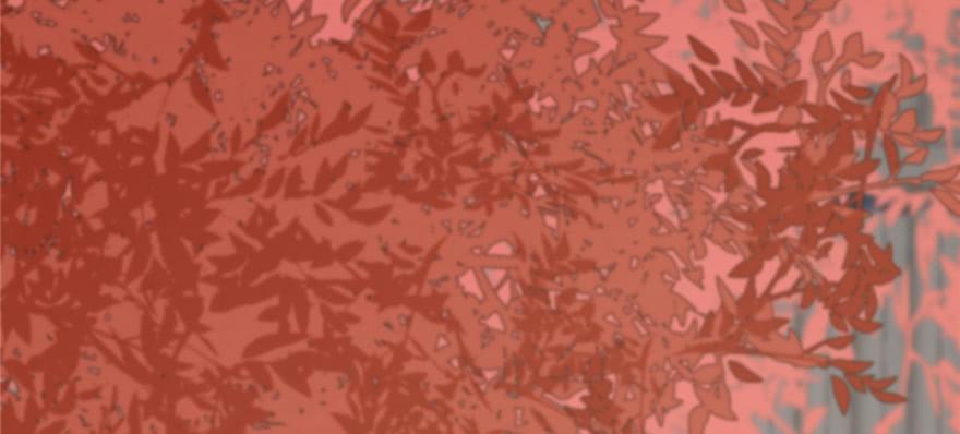 小兽妃漫画,874图