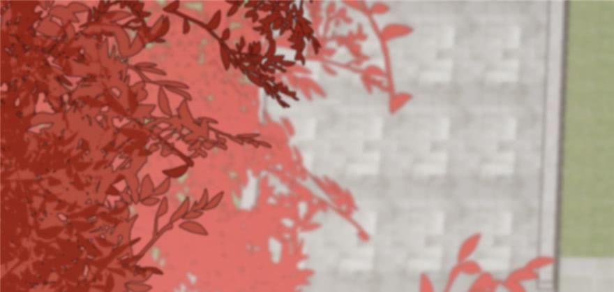 小兽妃漫画,872图