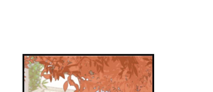 小兽妃漫画,892图