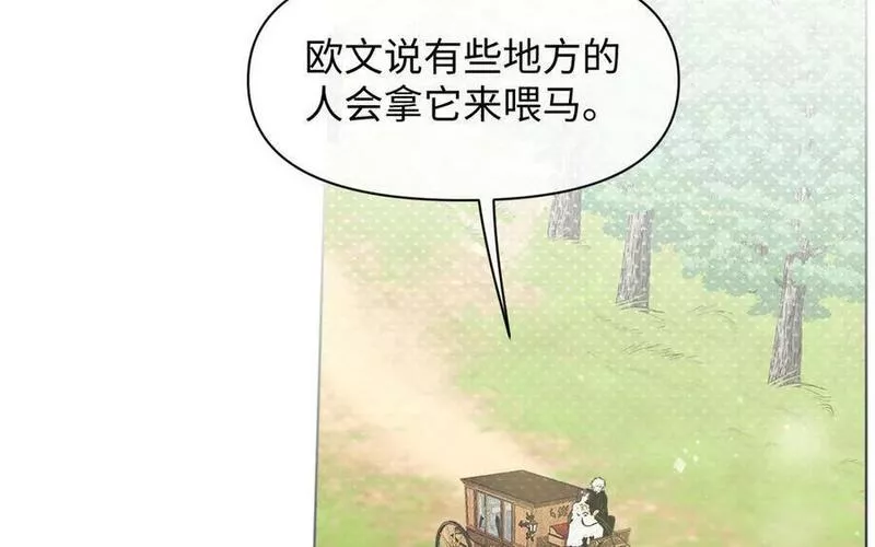 142话：落雪森林1