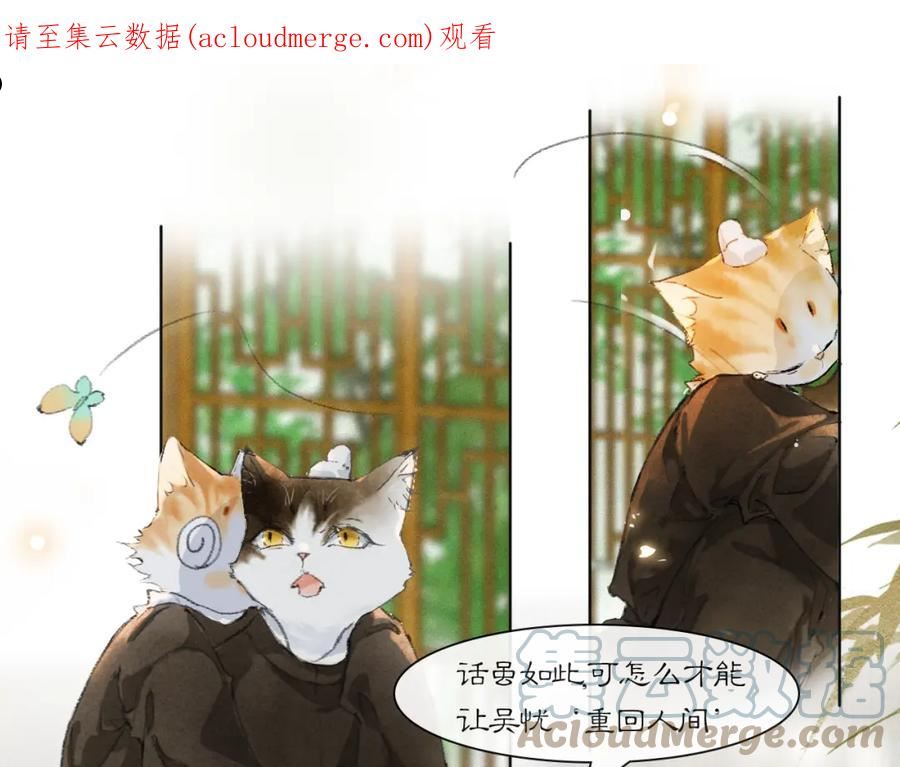 第36话 被选中的喵0