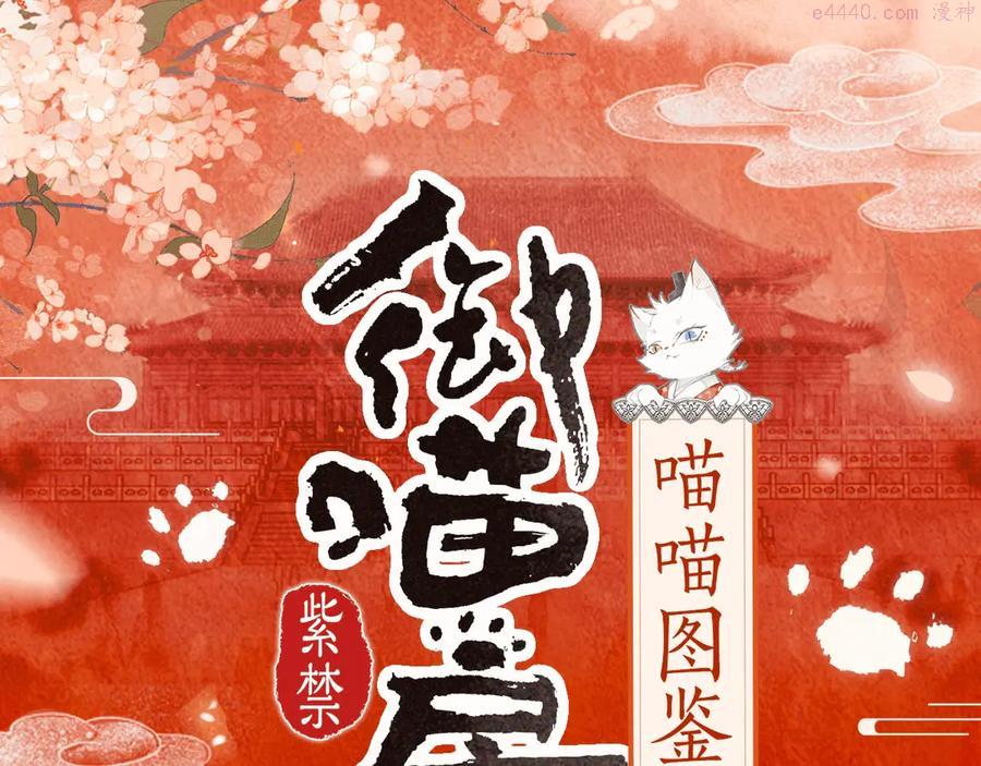 紫禁御喵房一集制作费用漫画,喵喵图鉴NO.21图