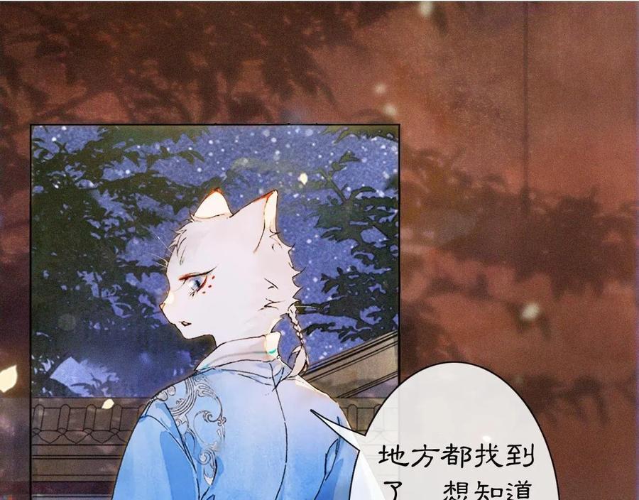 第12话 猫猫心事0