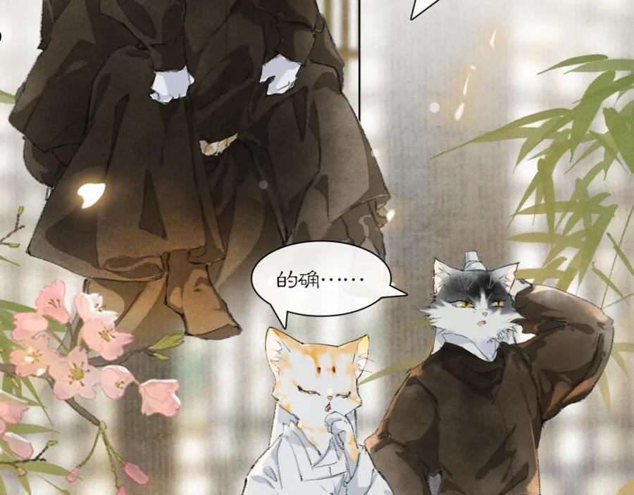 第36话 被选中的喵1