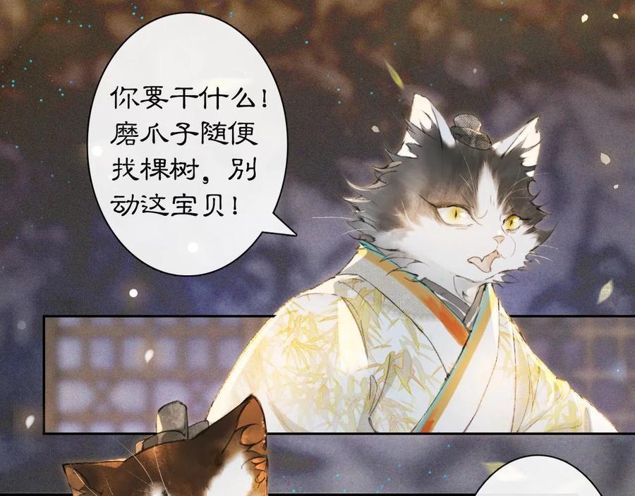 第11话 奇妙发现2