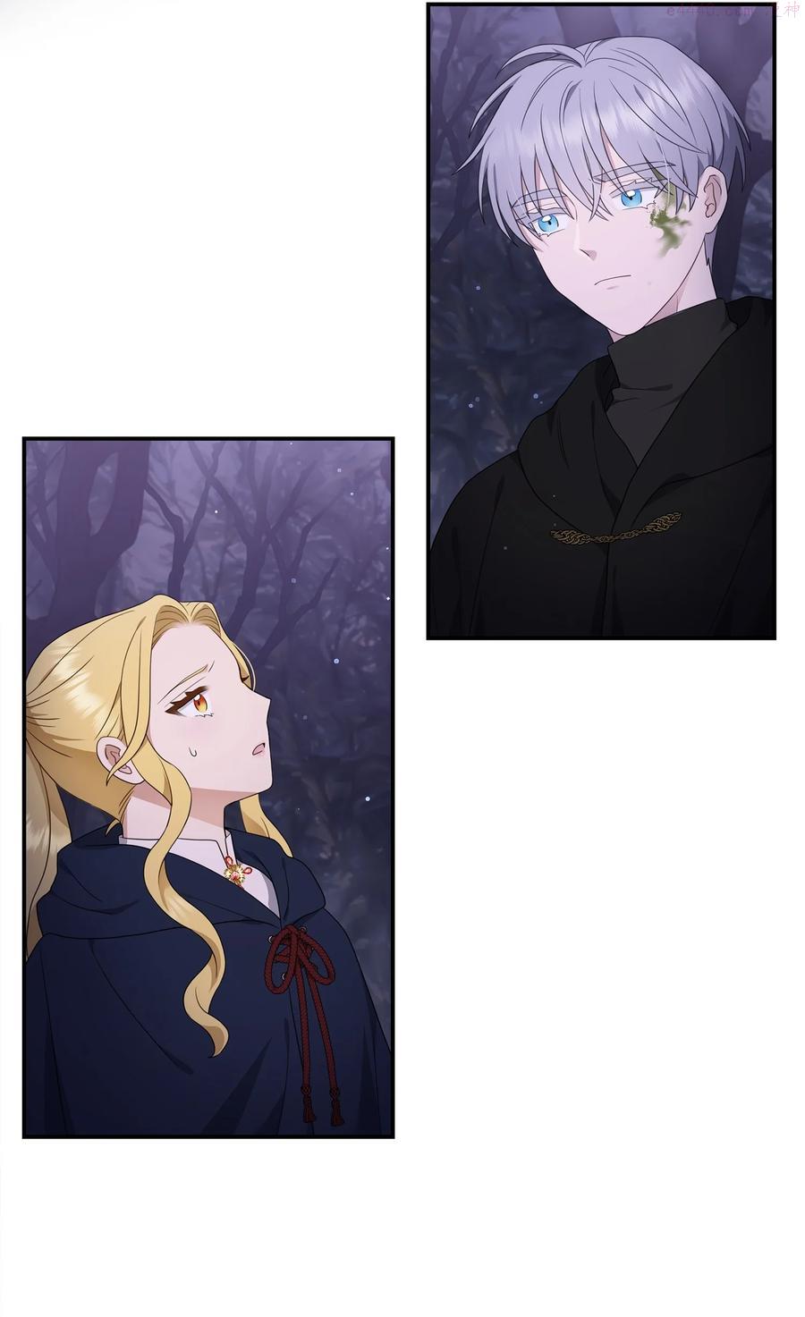 双面皇妃短剧漫画,15 寻觅帝国碎片2图