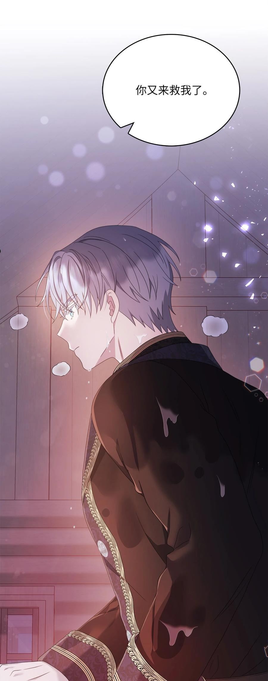 双面皇冠刘海发夹漫画,67 过往真相2图