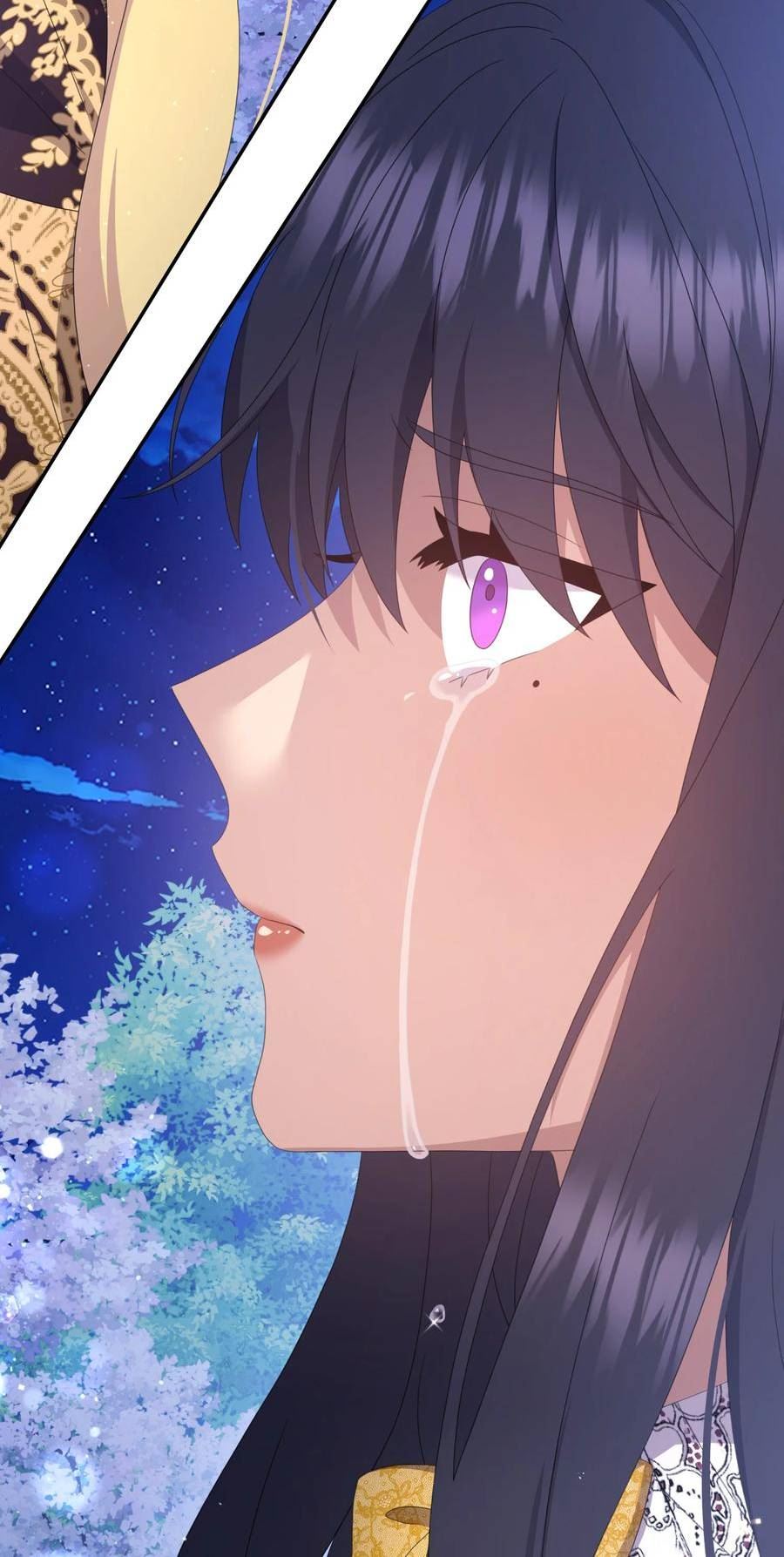 双面皇冠刘海发夹漫画,94 消失3图