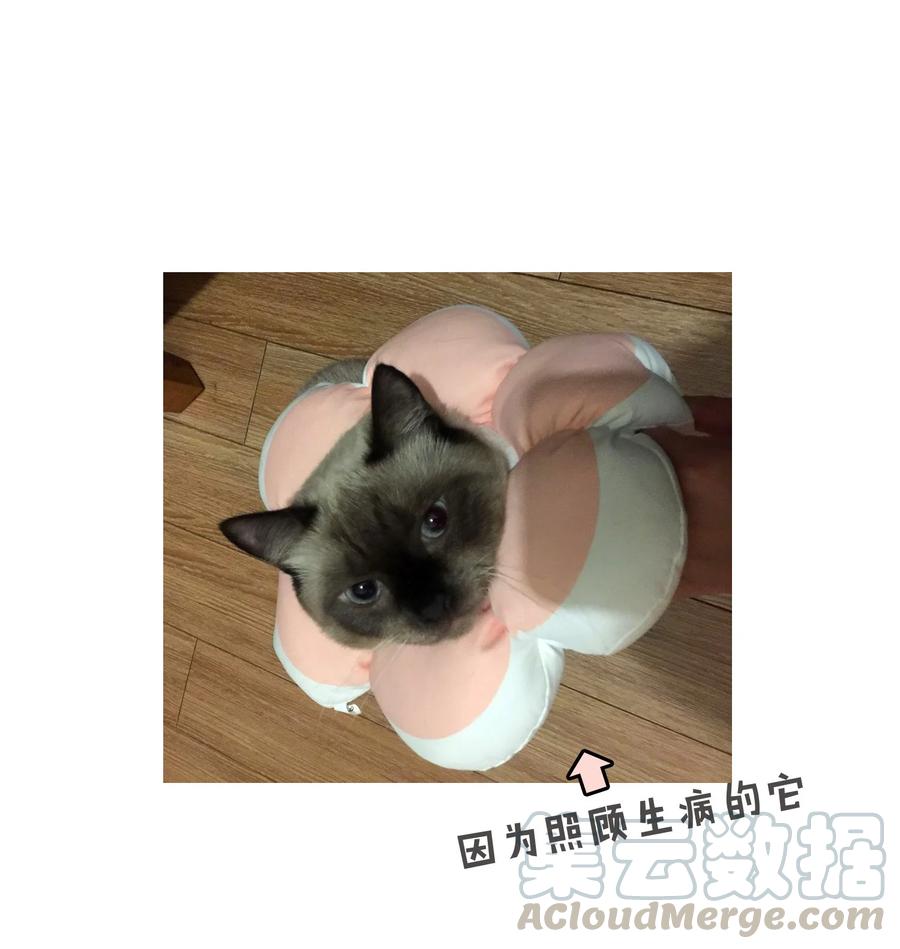 延迟 更新通知0