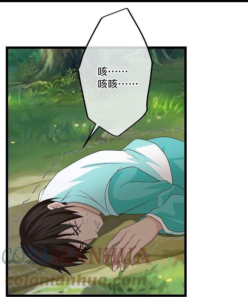 修罗剑尊漫画漫画,第373话 浮空神树5图