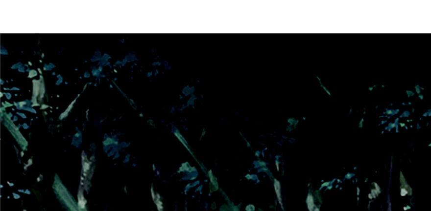 无限邮差TXT免费漫画,0382图