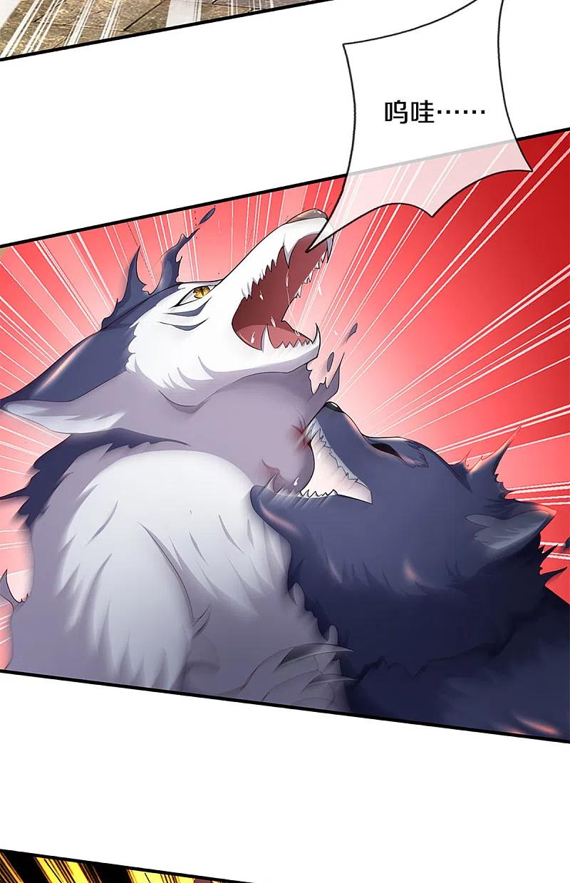 仙尊奶爸当赘婿漫画,第217话 徒有虚名？沈异登场4图