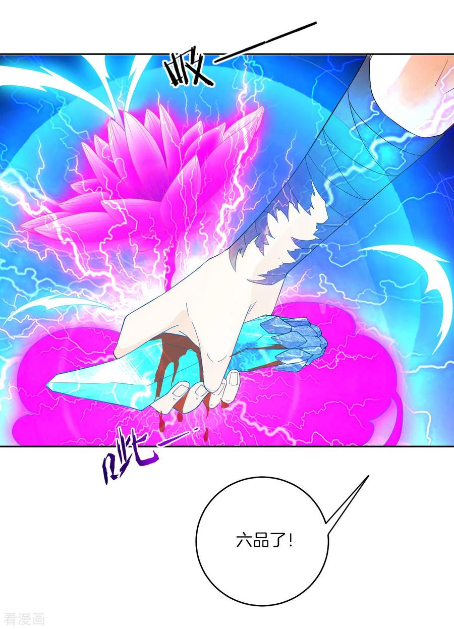 第21话 晋升七品3