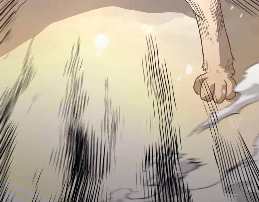 第23话 喜得宠物3