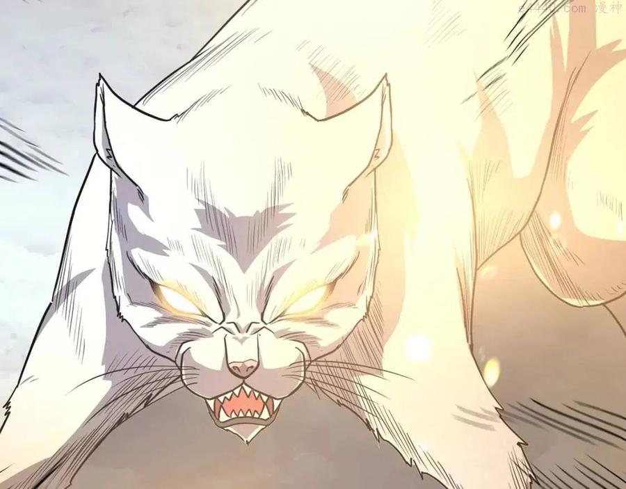 第23话 喜得宠物2