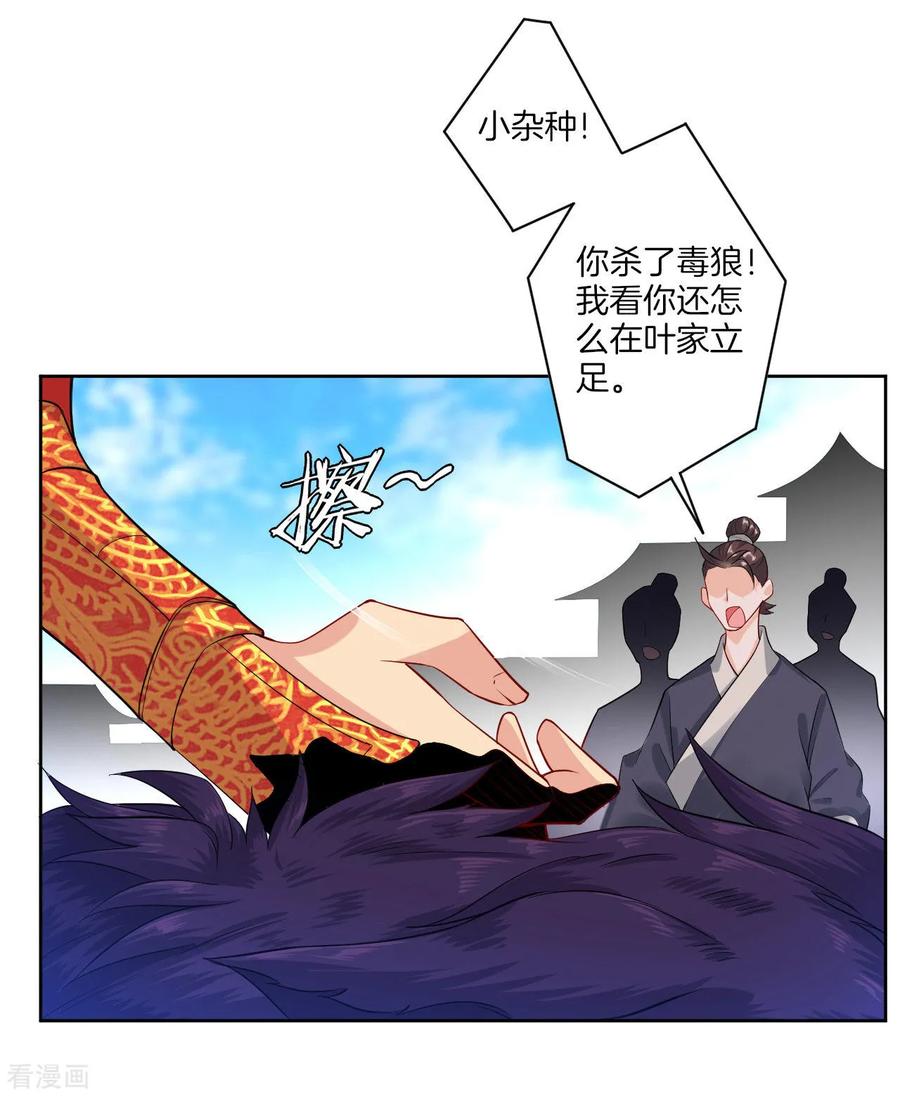 第4话 叶家天才1