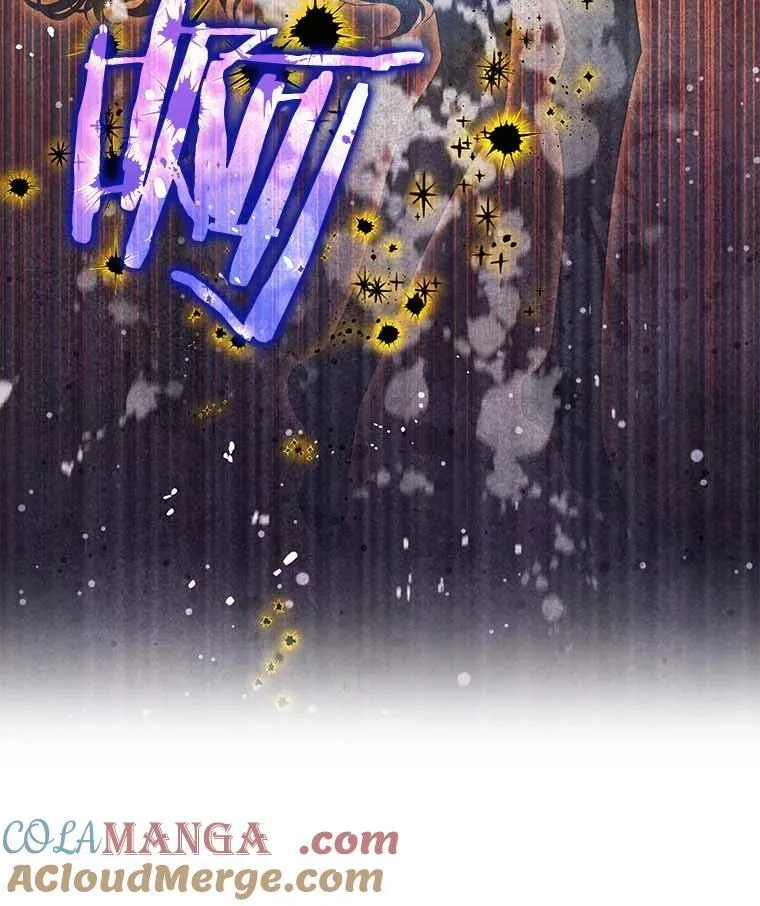 西格莉德含义漫画,98.魔法师的地位5图