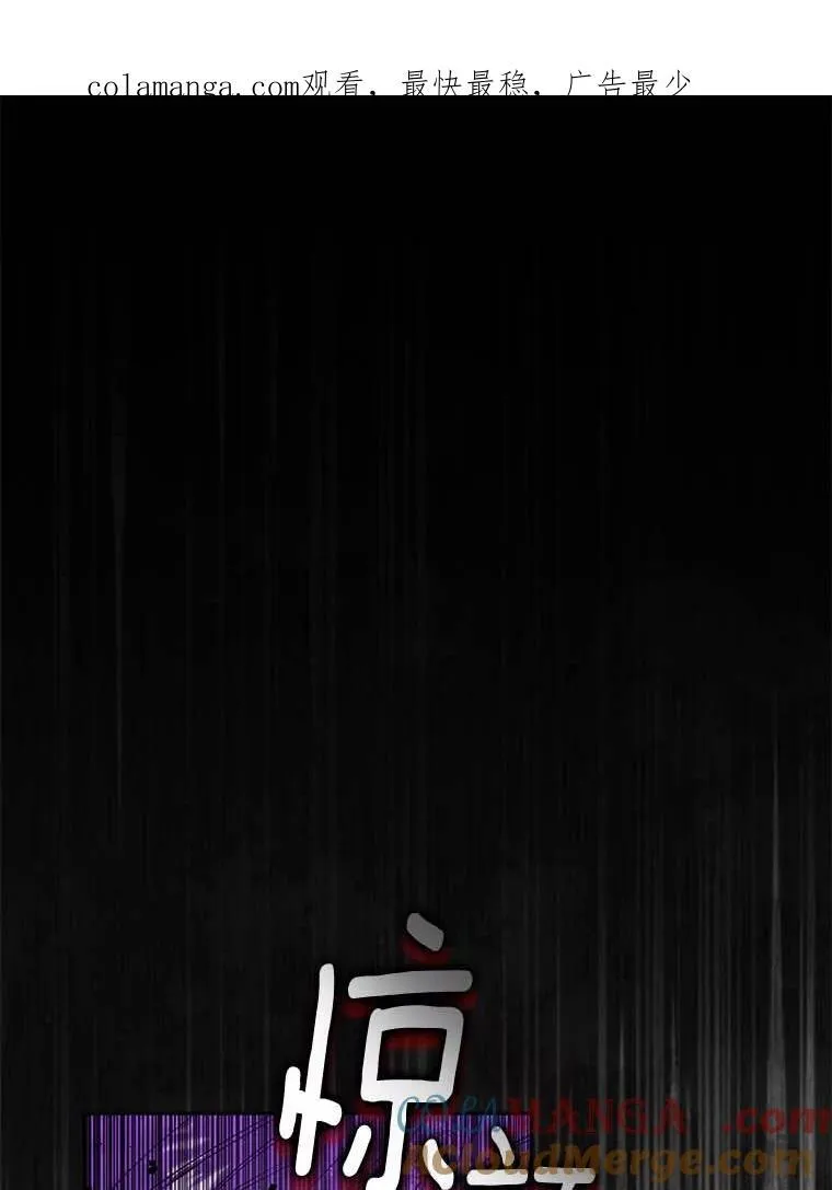 西格列汀二甲双胍片漫画,97.盾牌1图