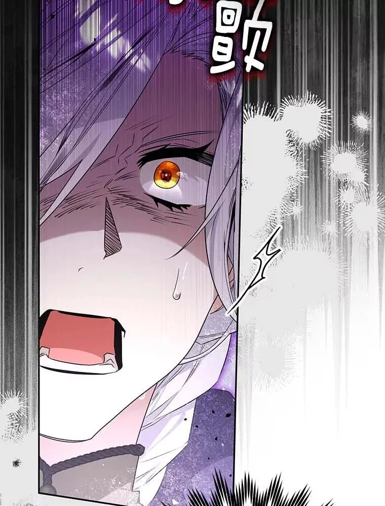 西格列汀二甲双胍片漫画,97.盾牌2图