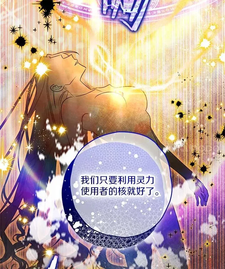 西格莉德含义漫画,98.魔法师的地位4图