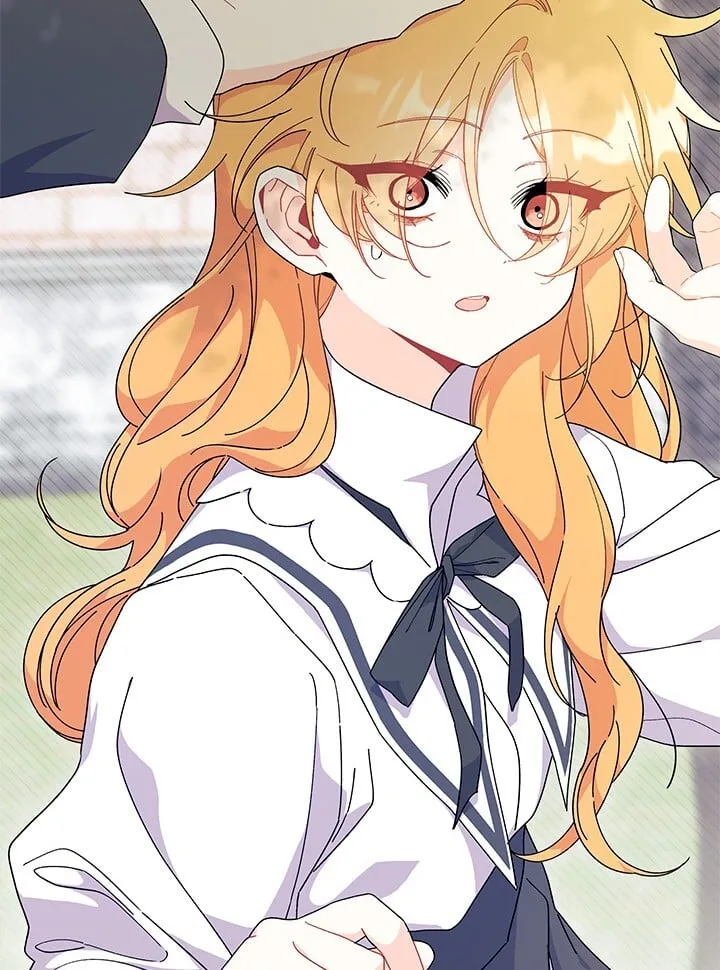 谢绝当鹊桥在哪儿看漫画,第72话5图