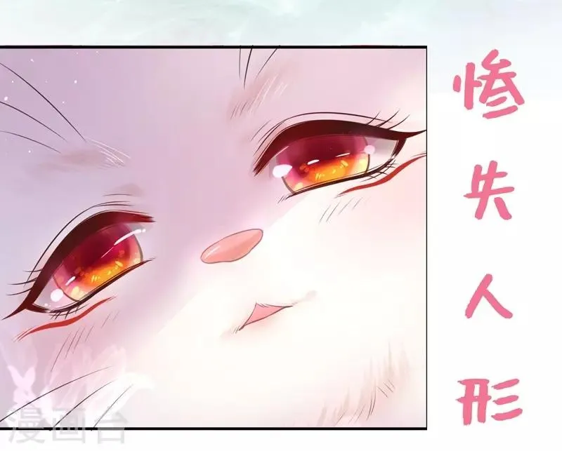 养兽为妃漫画,预告4图