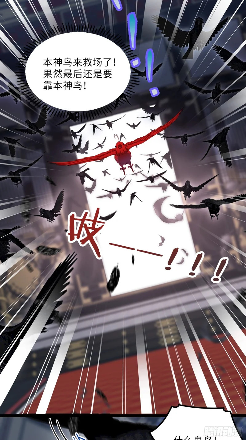 宦妃天下漫画全集免费观看下拉式无敌漫画漫画,第449话 茉儿刺杀阿九？！5图