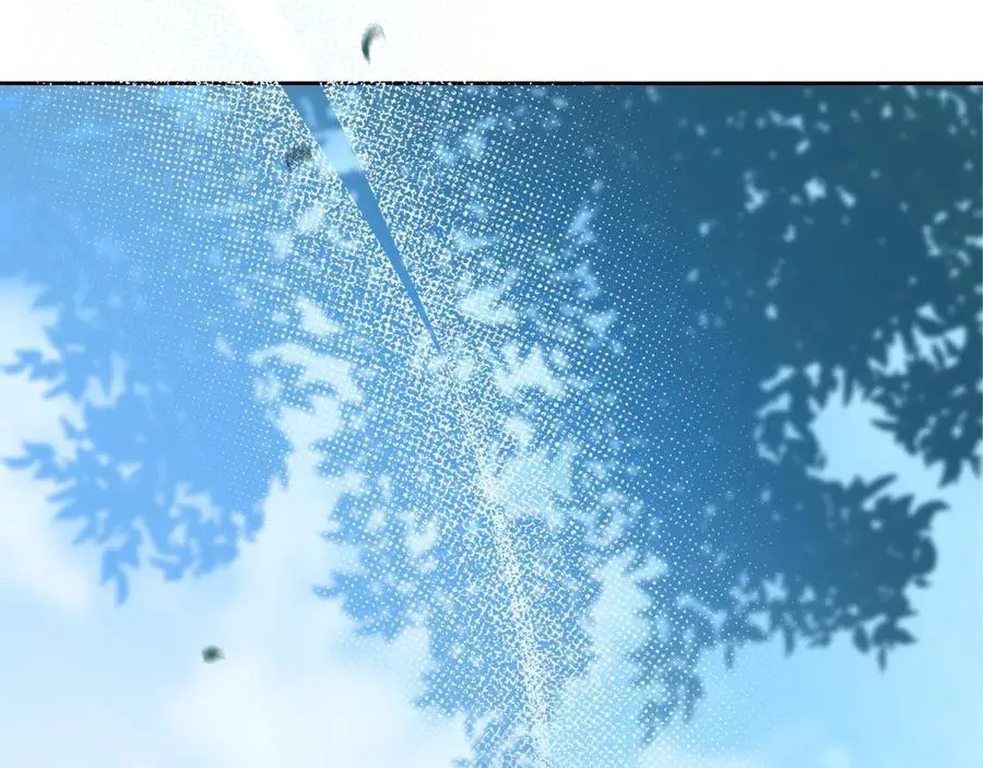 第185话 布朗剑法1