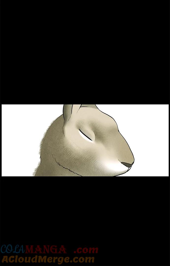 未来的古董店漫画,[第172] 从海末岛来的客人（7）4图