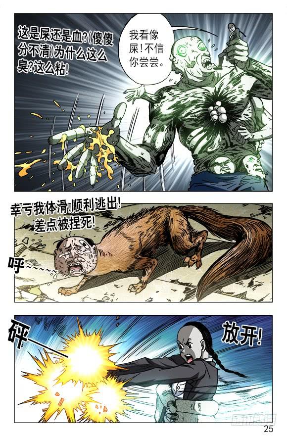 636 菊花与菜花4