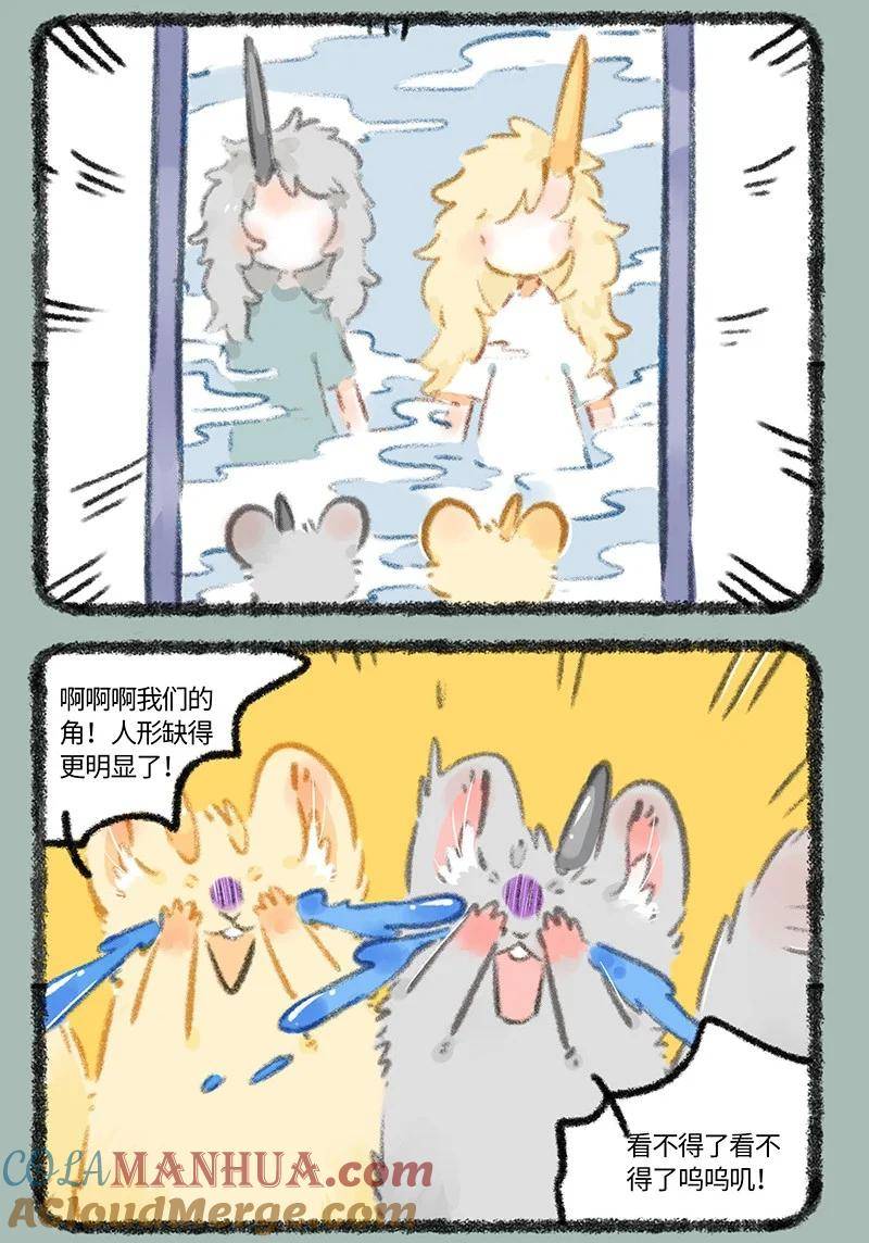 798 法宝啊法宝4