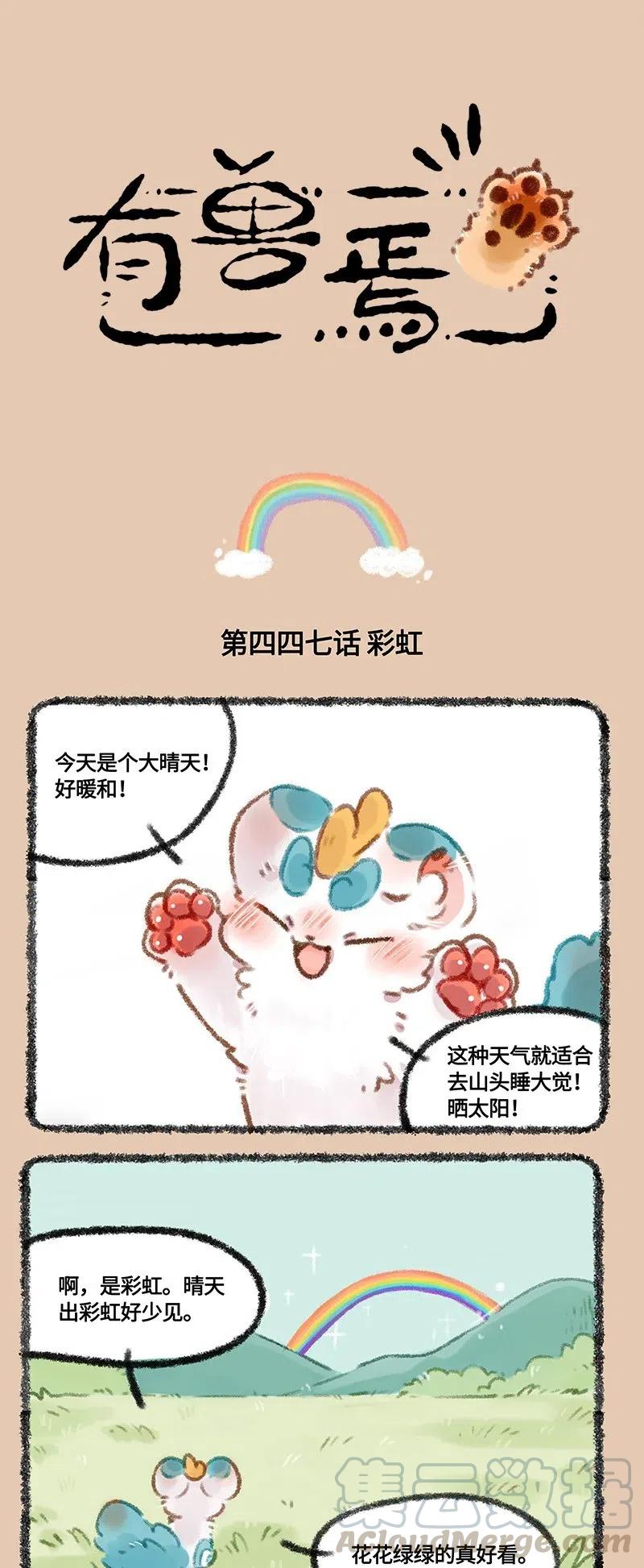 447 虹虹要离婚0