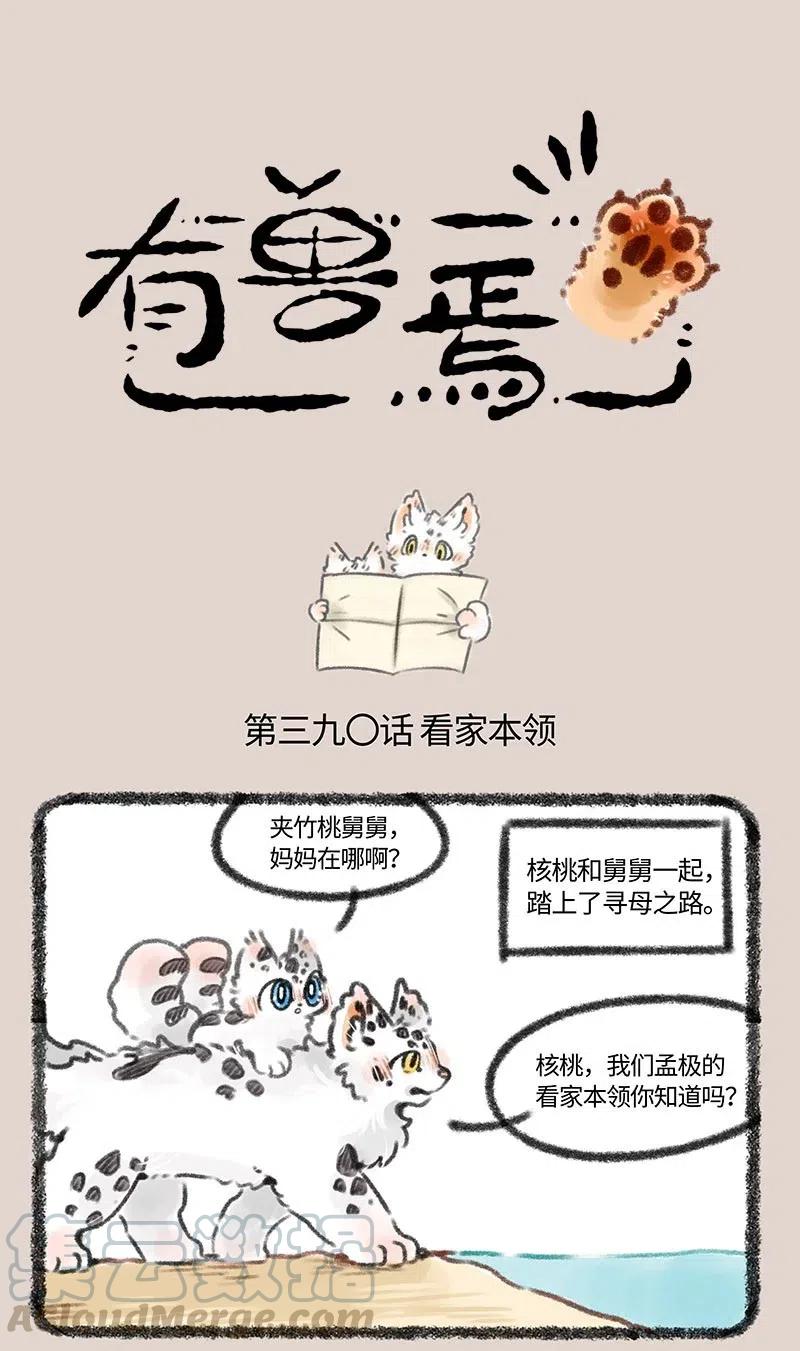 390 孟极的看家本领0