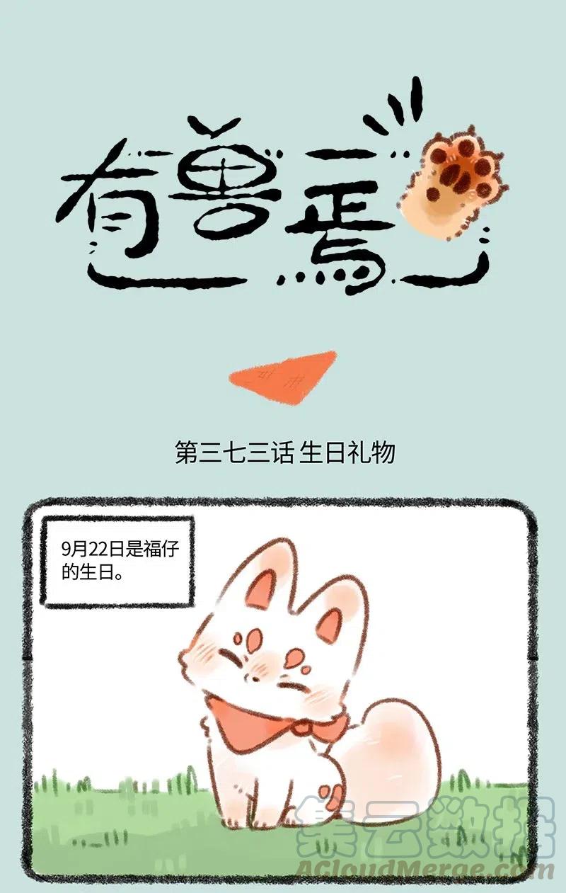 373 福仔的生日0