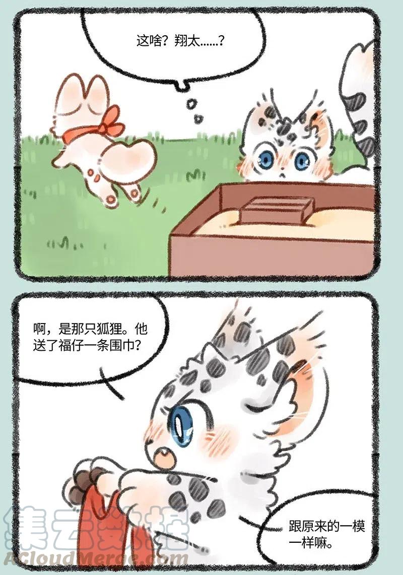 373 福仔的生日4